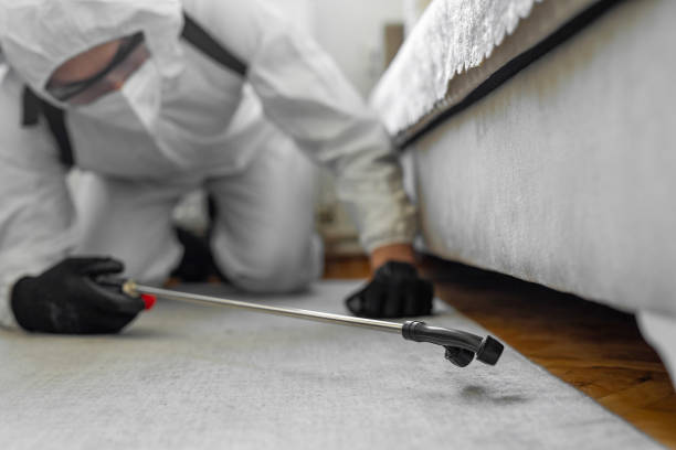 Professional Bed Bug Control technician working in Parma, OH