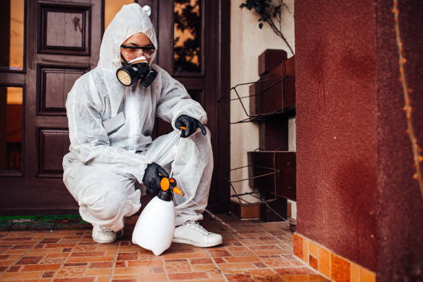 Reliable Bed Bug Control contractor in Parma, OH by Nex Pest Control